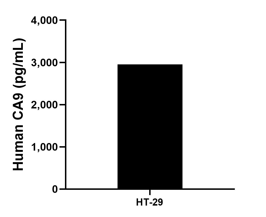 Sample test of MP01136-1